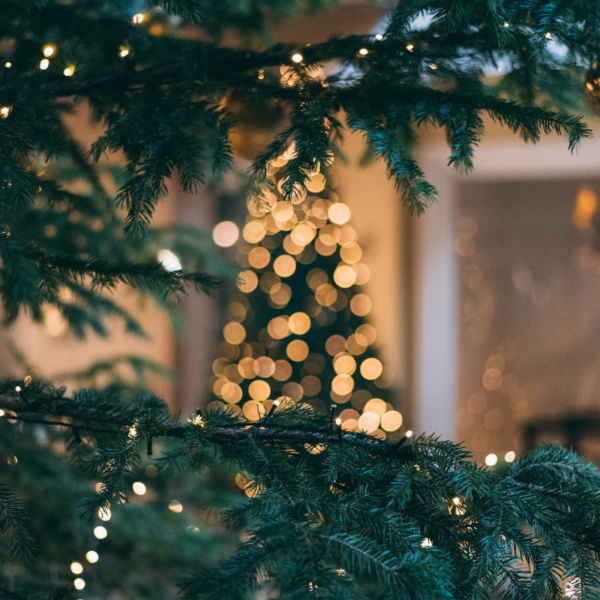 french christmas food